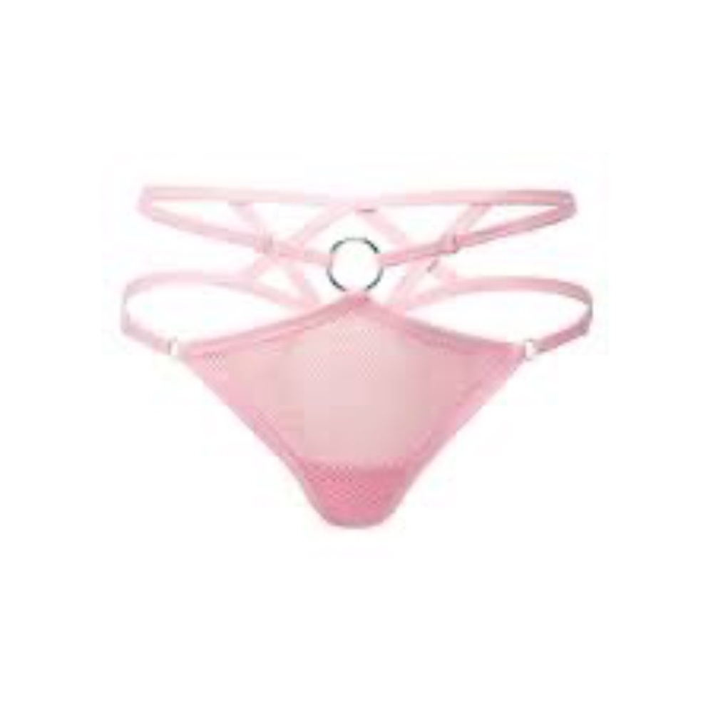 POSSESS ME FISHNET PANTY Pink NWT Killstar Medium